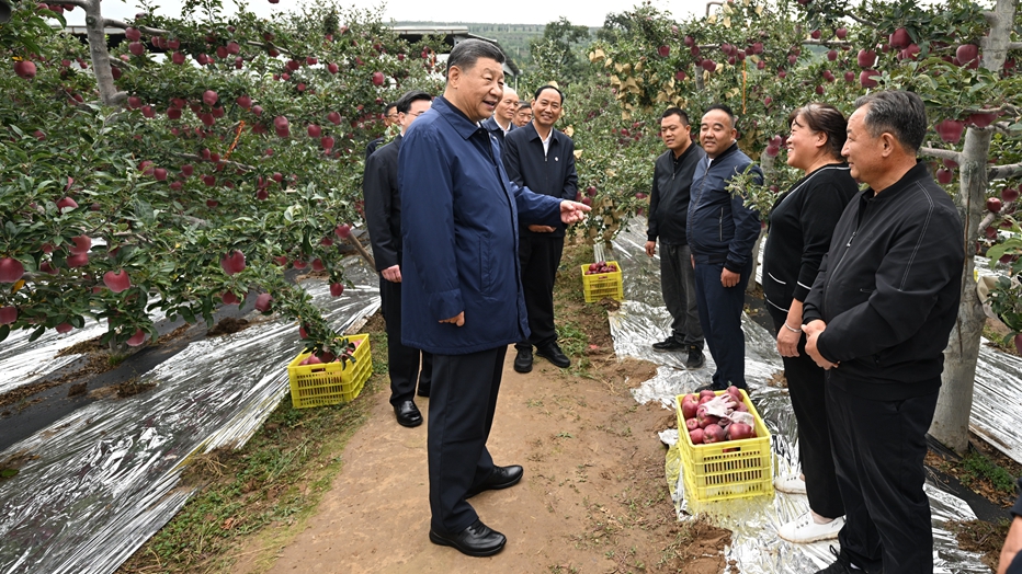 心繫隴原大地——習近平總書記和甘肅的故事